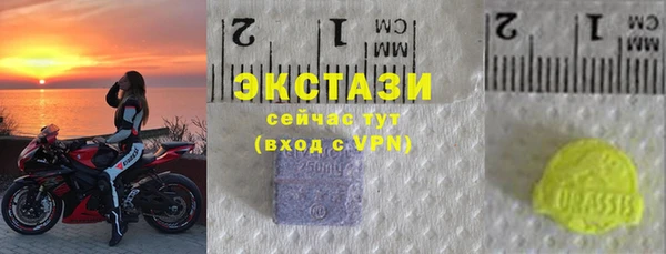 стаф Карпинск