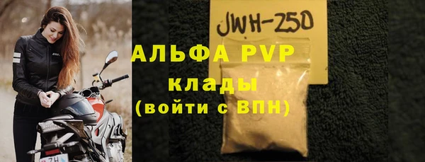стаф Карпинск