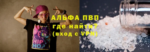 стаф Карпинск
