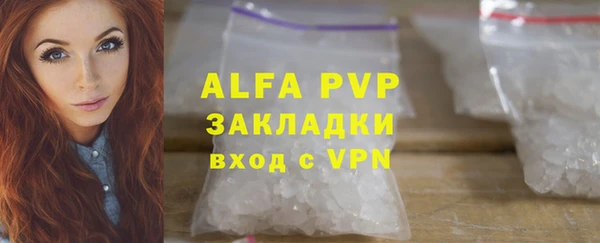 стаф Карпинск