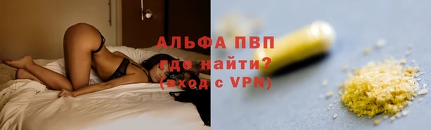 кокс Касимов