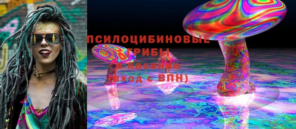 кокс Касимов