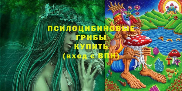 кокс Касимов