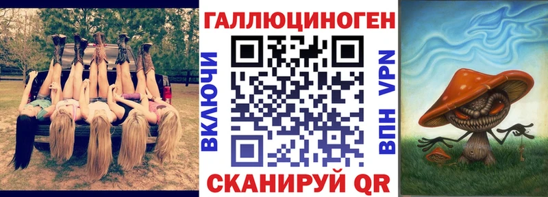 Псилоцибиновые грибы Cubensis  Тейково 